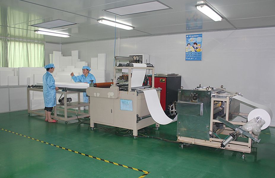 La Chine Dongguan Ivy Purification Technology Co., Ltd. 